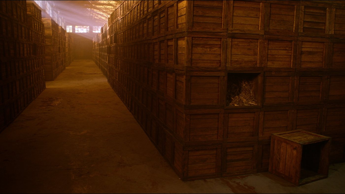 From 7,000 to 250,000 cases — 1997